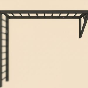 8.monkey-bar item 8.monkey-bar