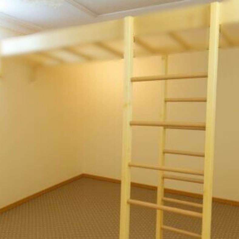 7.monkey-ladder item 7.monkey-ladder